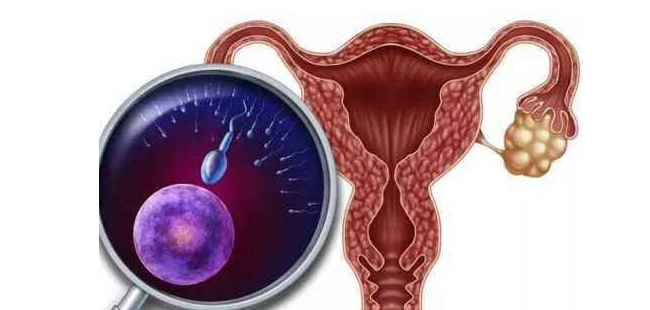 药流子宫内膜增厚的因及对策