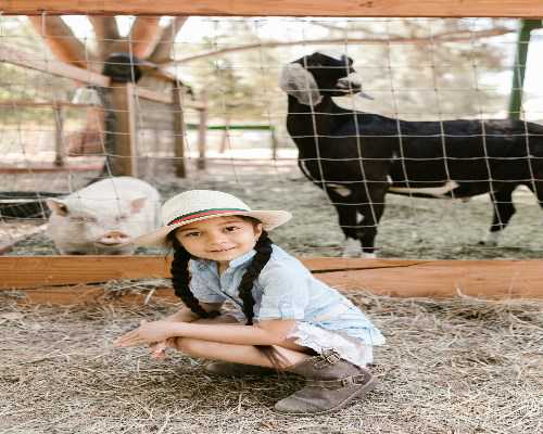 国内代怀孩子男孩，国内供卵排队等多久,三代试管婴儿生子费用大概多少钱？