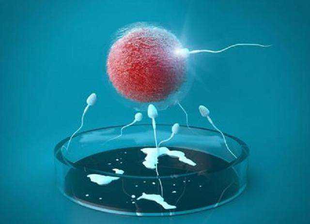 在大连妇儿中心生殖科做试管培养囊胚几天能知道结果？