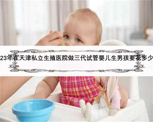 2023年在天津私立生殖医院做三代试管婴儿生男孩要花多少钱